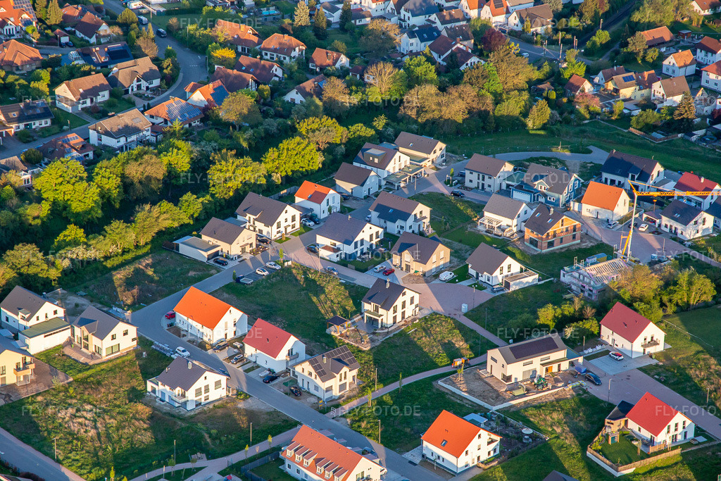 Luftbild: Rosen- und Tulpenweg in Kandel im Bundesland Rheinland-Pfalz in Deutschland. Foto: IMG_140360.jpg vom 23.04.2024 durch Werner Riehm/FLY-FOTO.de