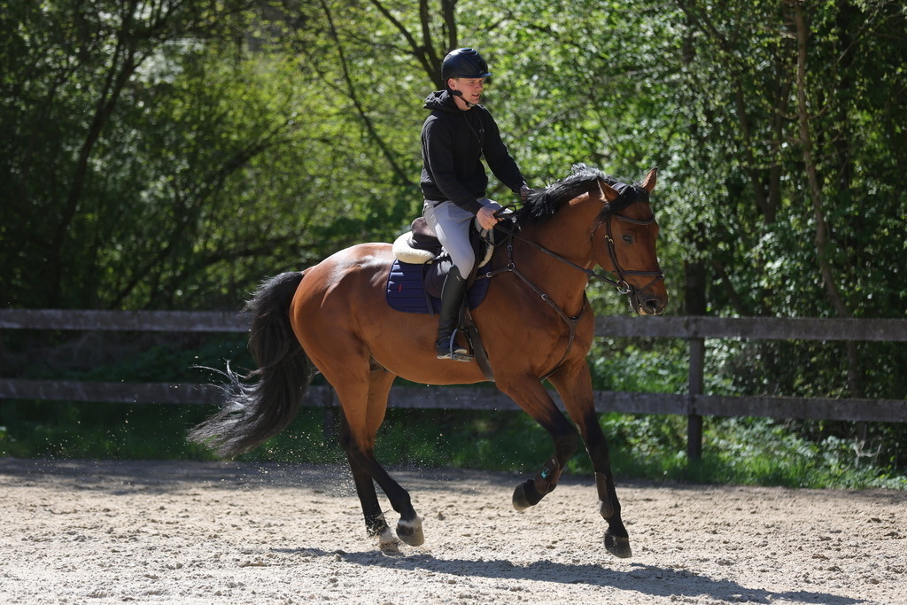 0P6A8121 | Willkommen bei Brunnmayr - Design & Fotografie – Ihrem Spezialisten für Reitturniere und Pferdeveranstaltungen in Oberösterreich, Salzburg und Bayern! Seit über 17 Jahren sind wir leidenschaftlich dabei.