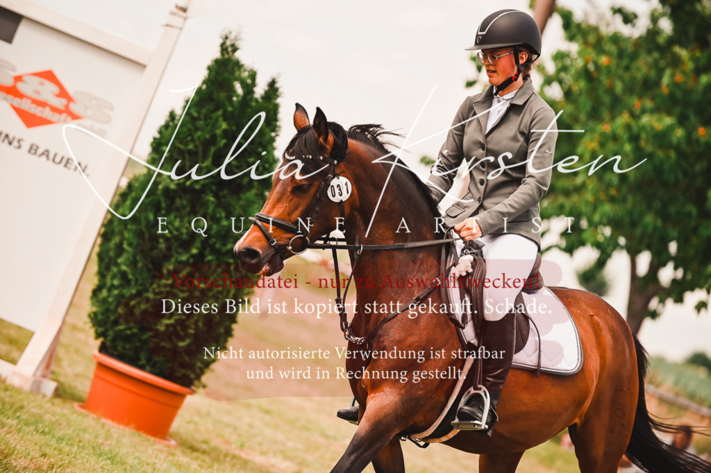 DSC_6898 | Pferde- und Turnierfotografie in Westsachsen. Pferdeportraits, Auftragszeichnungen und intuitive Kunst.