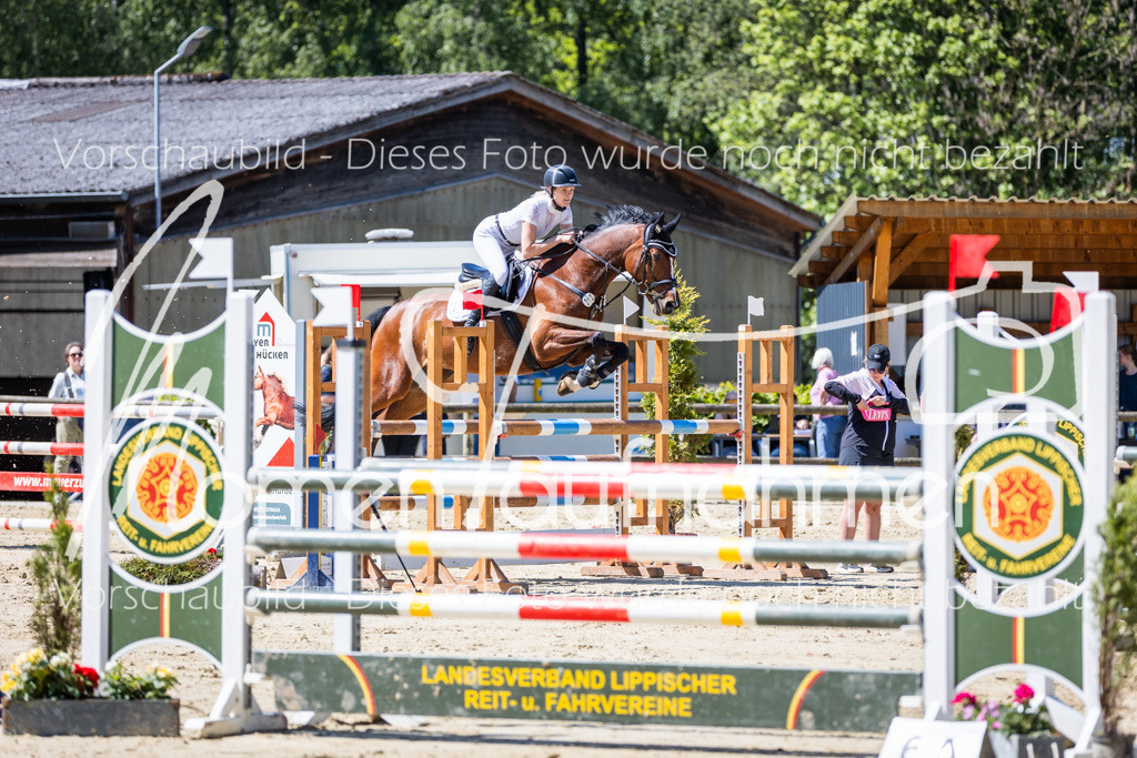 Donop24-L-Spr-035 | MomenTaufnahmen Pferdesportfotos