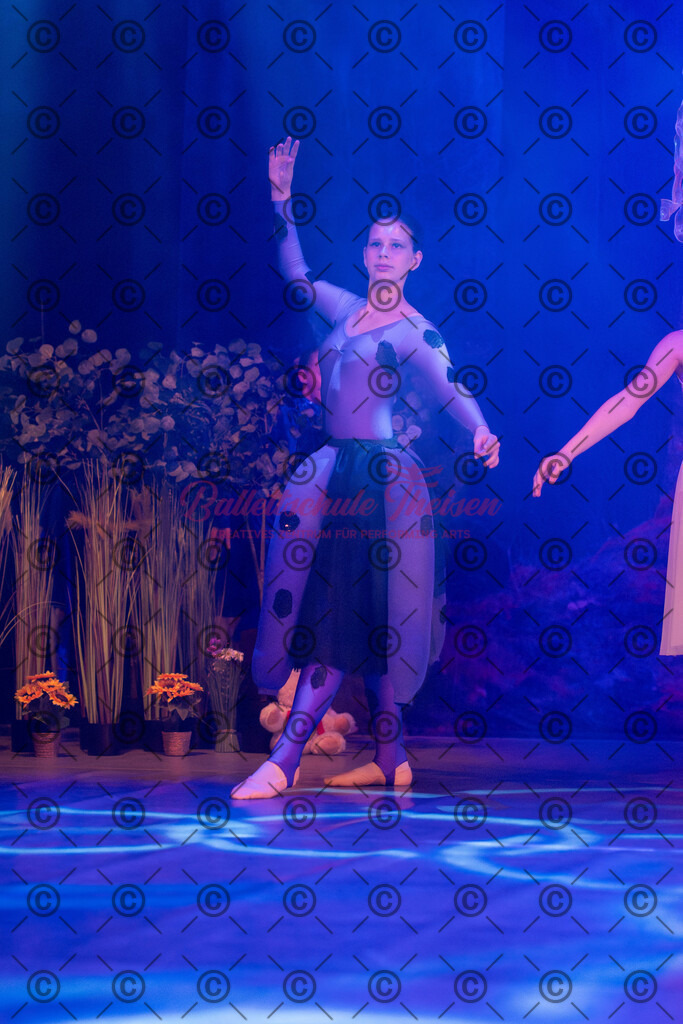 Ballettaufführung-1668 | Bildershop Lem'n Entertainment - Realisiert mit Pictrs.com