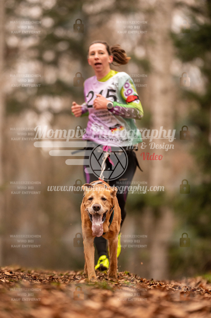 AKM_ST_2023_SAM_Run-106 | PayLife