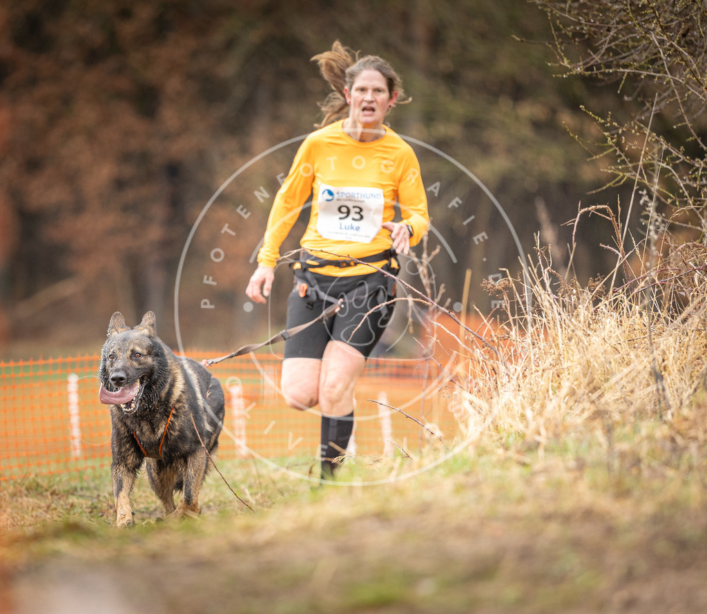 DV3A0456 | Hundefotografie, Tierfotograf, Pfotenfotografie, Fotoshooting Hund, Hunde Portrait, Hundesport, Hundeportraits, Heideshooting, Hunde, Sportfotograf, Hundefotograf, Turnierhundsport, THS,  - Realisiert mit Pictrs.com