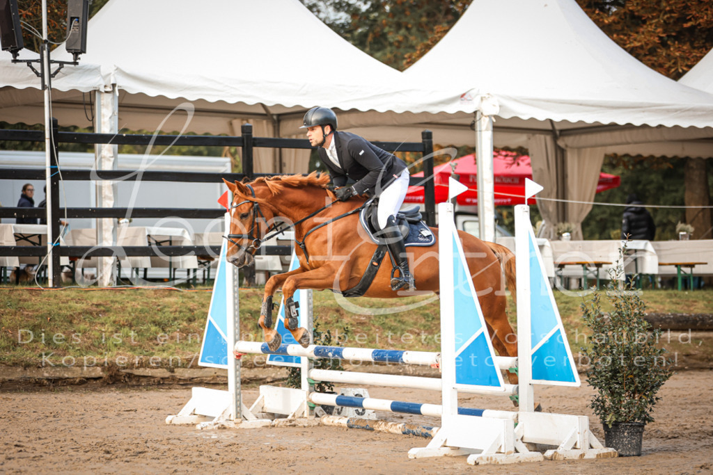 10.SaSpE00278 | Leoni Ertmer Photography - Realisiert mit Pictrs.com