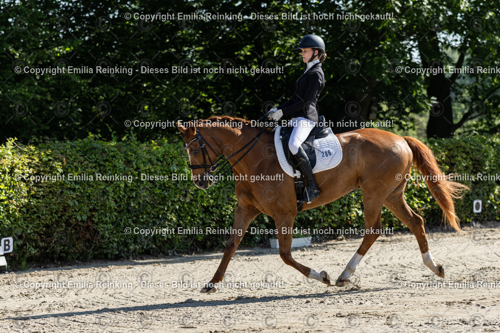 CL5A6892 | Emilia Reinking Fotografie - Realisiert mit Pictrs.com