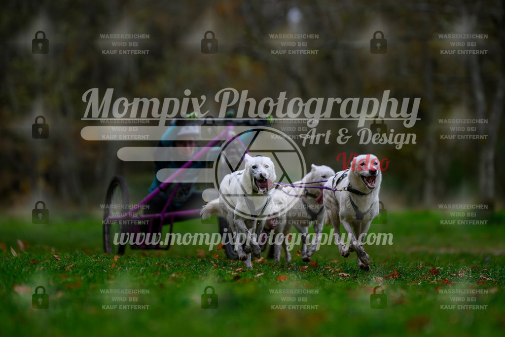 MompixPhotography_Bischwiller24_SA_Kart-9 | PayLife