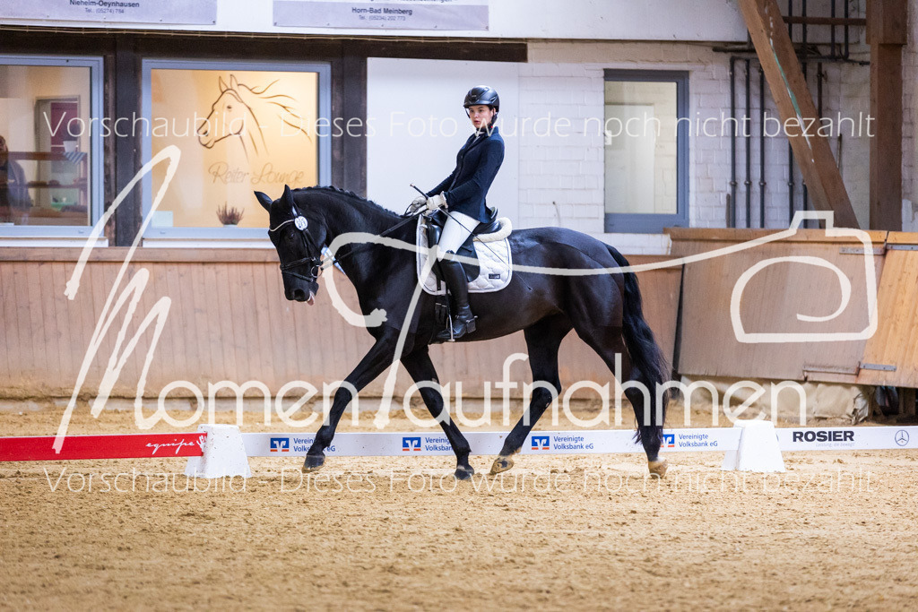 Sth-A-Dre-2St-113 | MomenTaufnahmen Pferdesportfotos