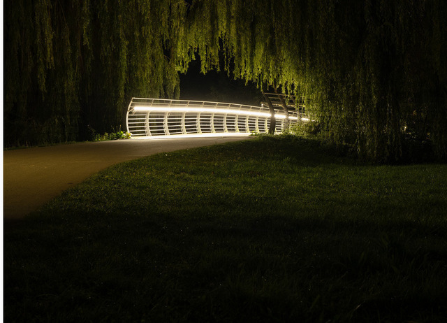 Bürgerpark in Braunschweig | Nachtaufnahme im Bürgerpark Braunschweig