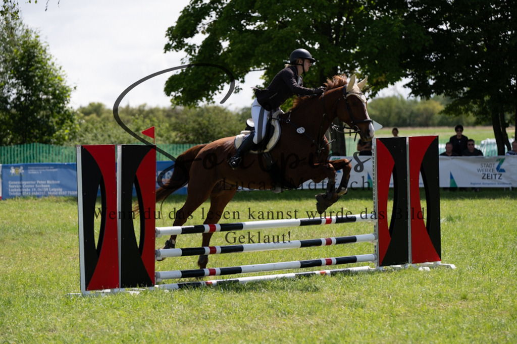 A7V04259 | Pferdefotograf