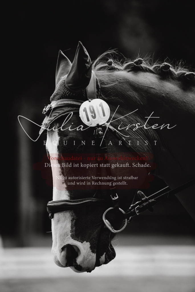 DSC_0876 | Pferde- und Turnierfotografie in Westsachsen. Pferdeportraits, Auftragszeichnungen und intuitive Kunst.