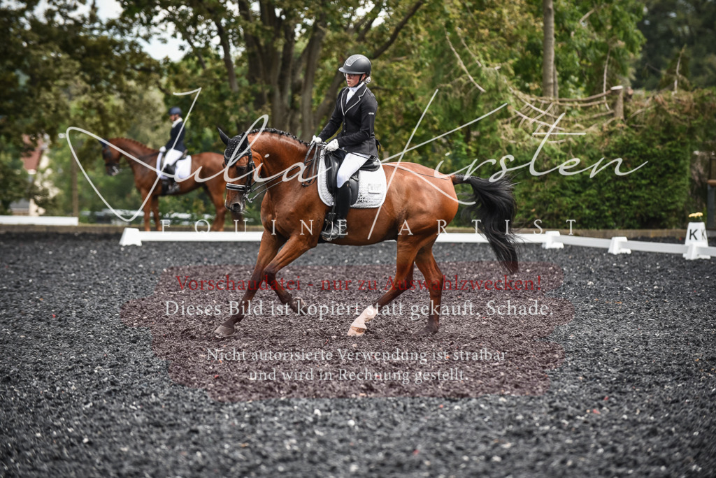 DSC_5003 | Pferde- und Turnierfotografie in Westsachsen. Pferdeportraits, Auftragszeichnungen und intuitive Kunst.