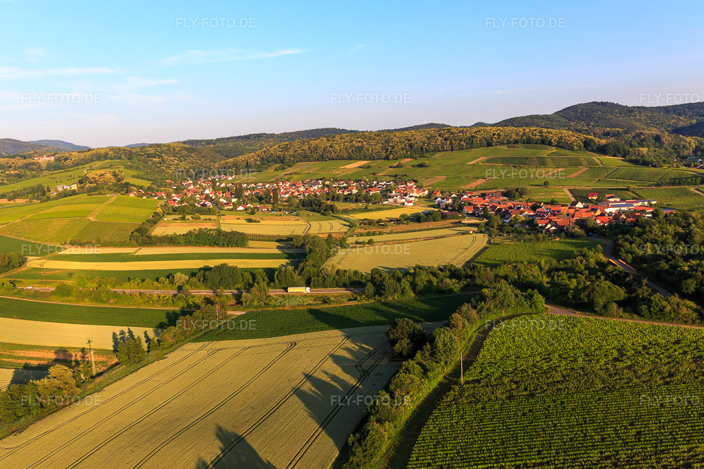 Luftbild: Weinort von Osten im Ortsteil Oberhofen in Pleisweiler-Oberhofen im Bundesland Rheinland-Pfalz in Deutschland. Foto: IMG_148547.jpg vom 18.06.2025 durch Werner Riehm/FLY-FOTO.de