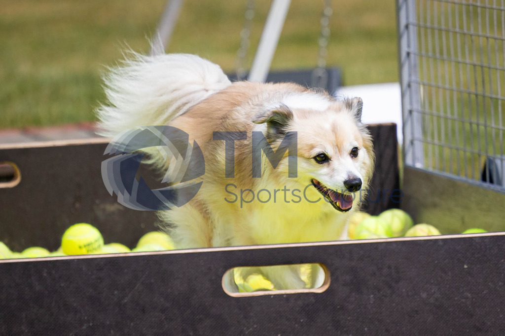 TP-20240815-0152 | Copyright: Trainproduction / Matthias Trinkl