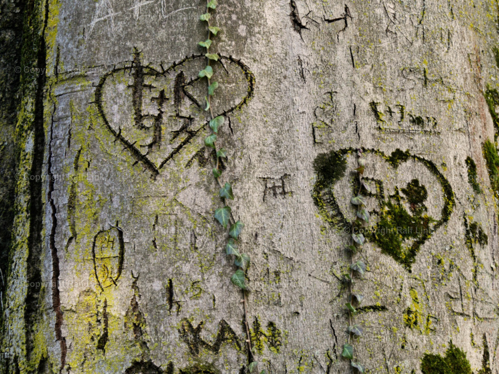 Baumrinde mit Inschrift_04 | Stockfotos, Fotos mit Miniaturfiguren und kreativen Ideen. Dabei auch vieles aus der Metropolregion Rhein-Neckar. 