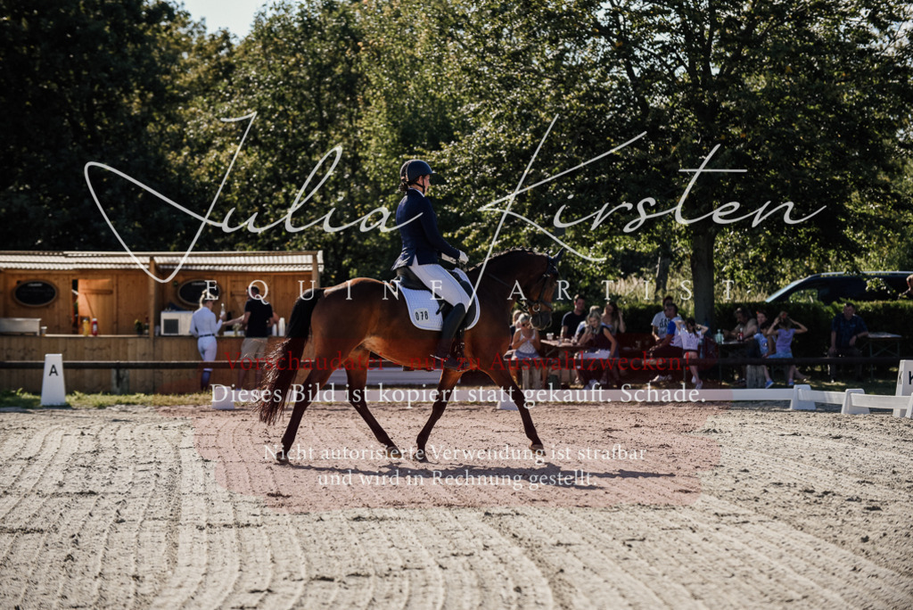 DSC_0282 | Pferde- und Turnierfotografie in Westsachsen. Pferdeportraits, Auftragszeichnungen und intuitive Kunst.
