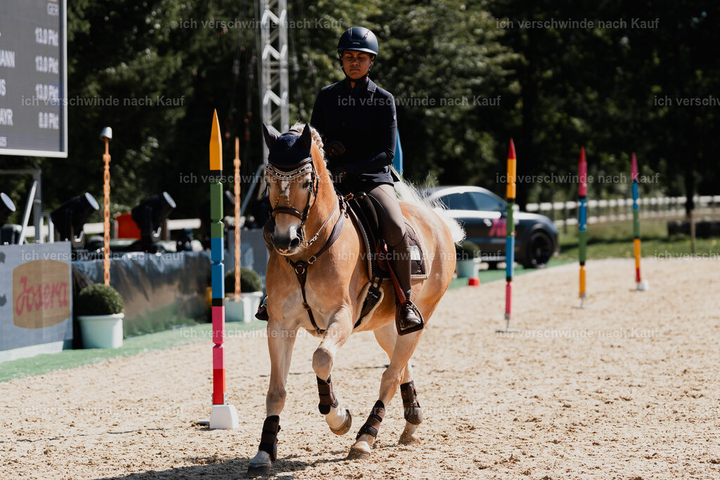 Tanesha5FHC2025-08779 | working equitationturnier fotograf videograf stoibphotography marixx film working equitation deutschland reitsport turnierfotografie eventfotografie equestrian events