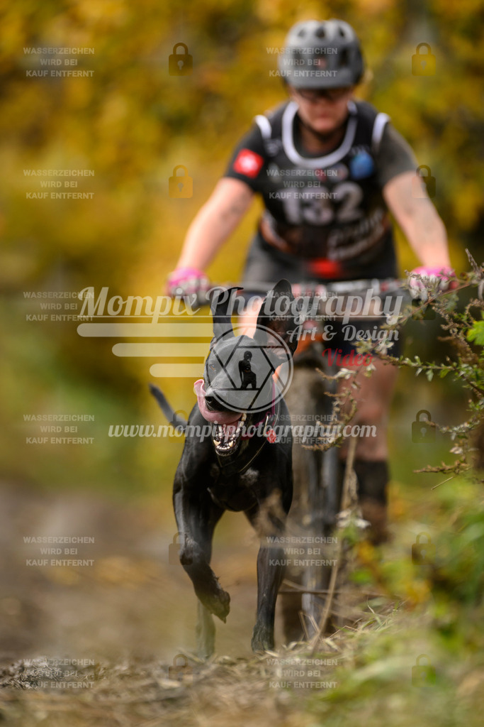 MompixPhotography_ICF_WC_2024_SA_Bike_-151 | PayLife