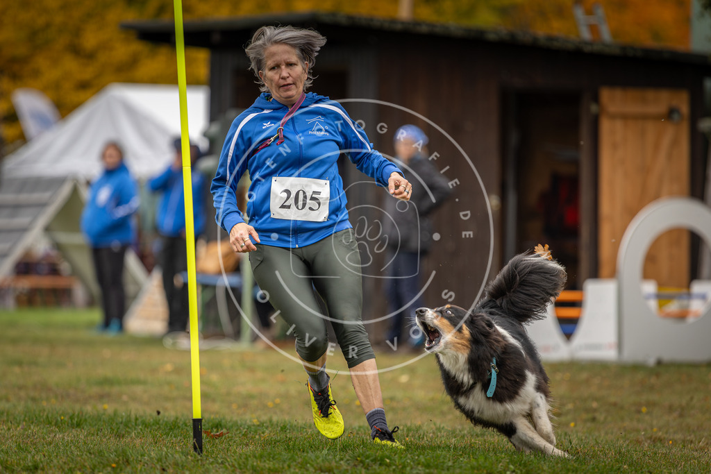 Pfotenfotografie_DV3A1728 | Hundefotografie, Tierfotograf, Pfotenfotografie, Fotoshooting Hund, Hunde Portrait, Hundesport, Hundeportraits, Heideshooting, Hunde, Sportfotograf, Hundefotograf, Turnierhundsport, THS,  - Realisiert mit Pictrs.com
