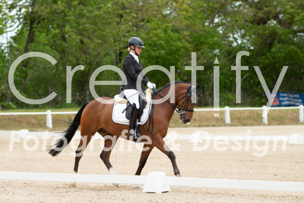 IMG_2951 | Creatify Fotografie