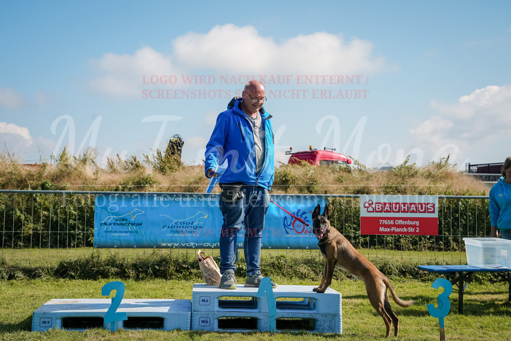 20250928_Hunderennen-733 | MuT (Mensch und Tier) mit Mona - Fotografie und Tierkommunikation - Realisiert mit Pictrs.com