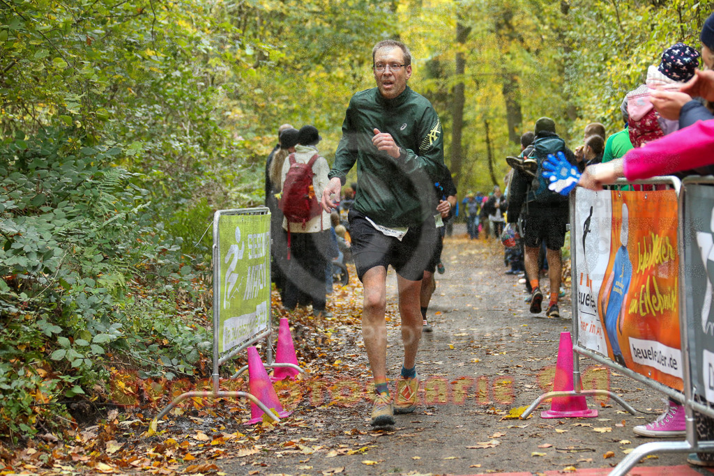 251026_1255_EX1_1915 | Sportfotografie im Rhein-Sieg Kreis, Köln, Bonn, NRW, Rheinland Pfalz, Hessen, etc. Unser Tätigkeitsfeld umfasst den Laufsport vom Volkslauf über den Marathon, Duathlon, Triathon bis zum Ultralauf wie Kölnpfad Ultra oder Schindertrail.