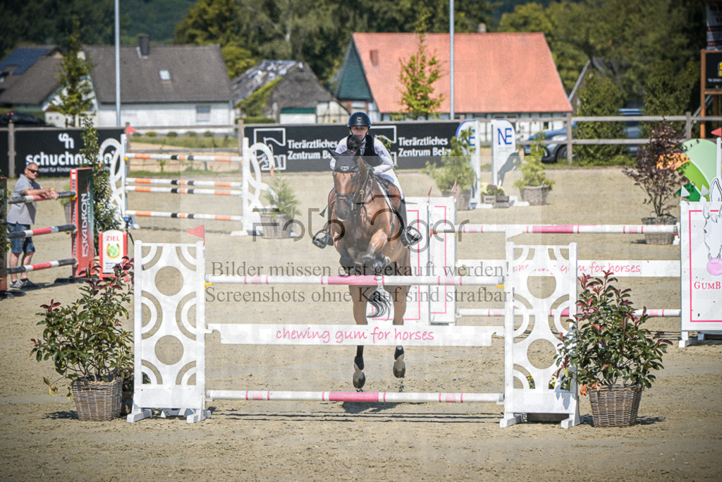 DOS_1099 | Entdecke hochwertige Reitturnierfotos von Foto Oger. Professionell, emotional und authentisch – jetzt Lieblingsmomente im Shop bestellen.Deutschlandweite Turnierfotografie. - Realisiert mit Pictrs.com