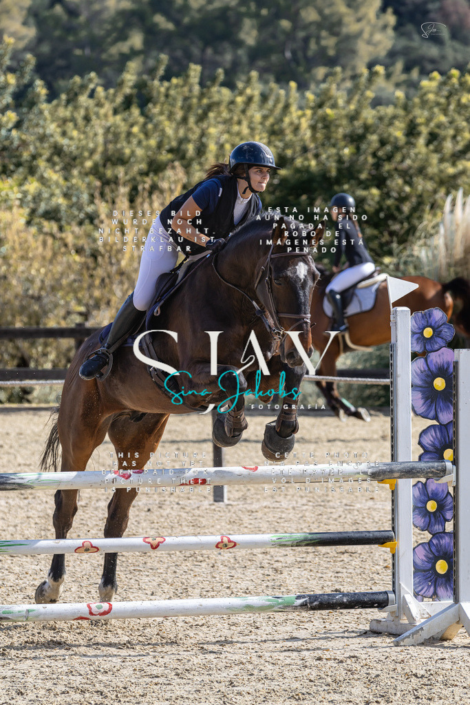 IMG_6236 | s-jay-photography - Realisiert mit Pictrs.com