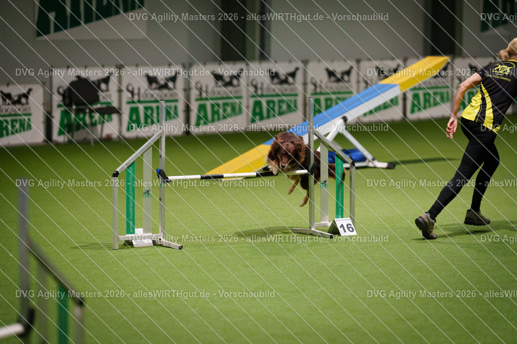 allesWIRTHgut_Tierfotografie-DVG_Agility_Masters_2026-15_38-7R502548 | Professionelle Tierfotografie in Mönchengladbach von Daniel Wirth (allesWIRTHgut). Liebevolle & natürliche Bilder von Hunden & Katzen für unvergessliche Erinnerungen.