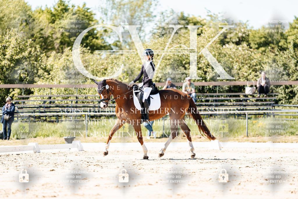 CK905319 | Turnierfotografie Pferdefotografie Trier Rheinland-Pfalz Pferdesport Reitsport Tierfotografie Sportfotografie Pferdevideo Pferdevideografie Equestrianvideography equestrianphotography  - Realisiert mit Pictrs.com
