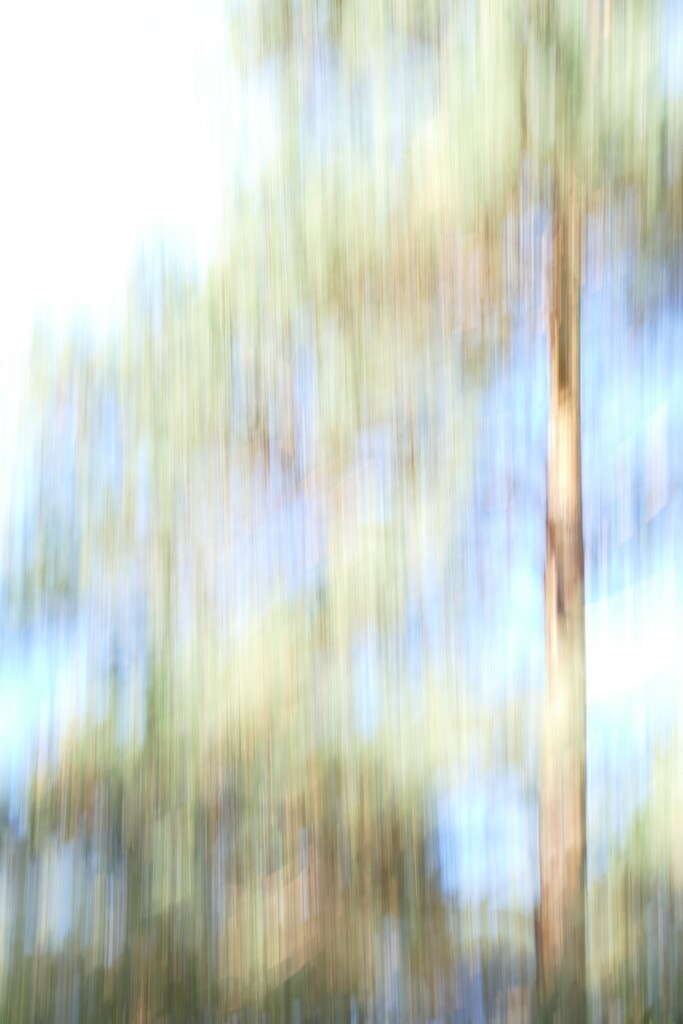 P4030942_a | Annaeherungen - Realisiert mit Pictrs.com