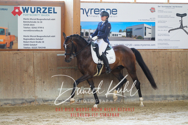 DKP45725 | Turniersportfotografie; Pferdefotografie; Dressurfotografie