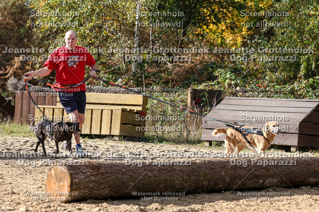 Dog Paparazzi - Strongdog 10-25-5792 | Dog Paparazzi Jeanette Grottendiek Fotografie & Videografie - Realisiert mit Pictrs.com