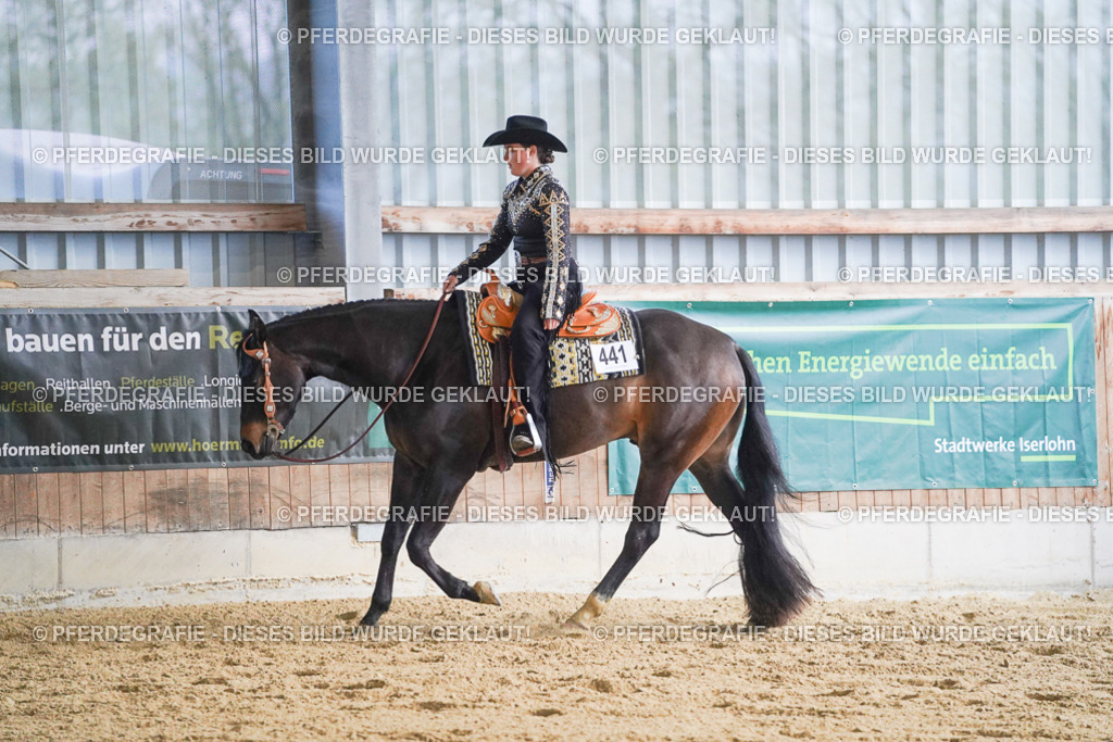 DSC08989 | Pferdegrafie