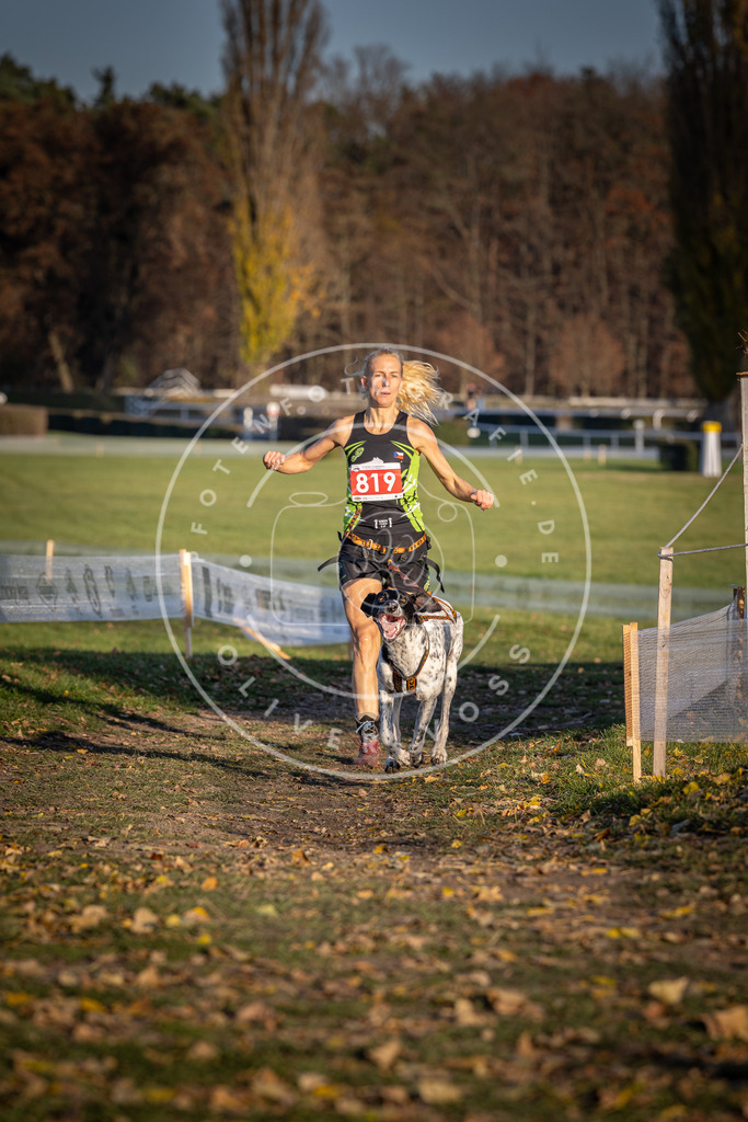 CaniXpix_DV3A3209 | Hundefotografie, Tierfotograf, Pfotenfotografie, Fotoshooting Hund, Hunde Portrait, Hundesport, Hundeportraits, Heideshooting, Hunde, Sportfotograf, Hundefotograf, Turnierhundsport, THS,  - Realisiert mit Pictrs.com