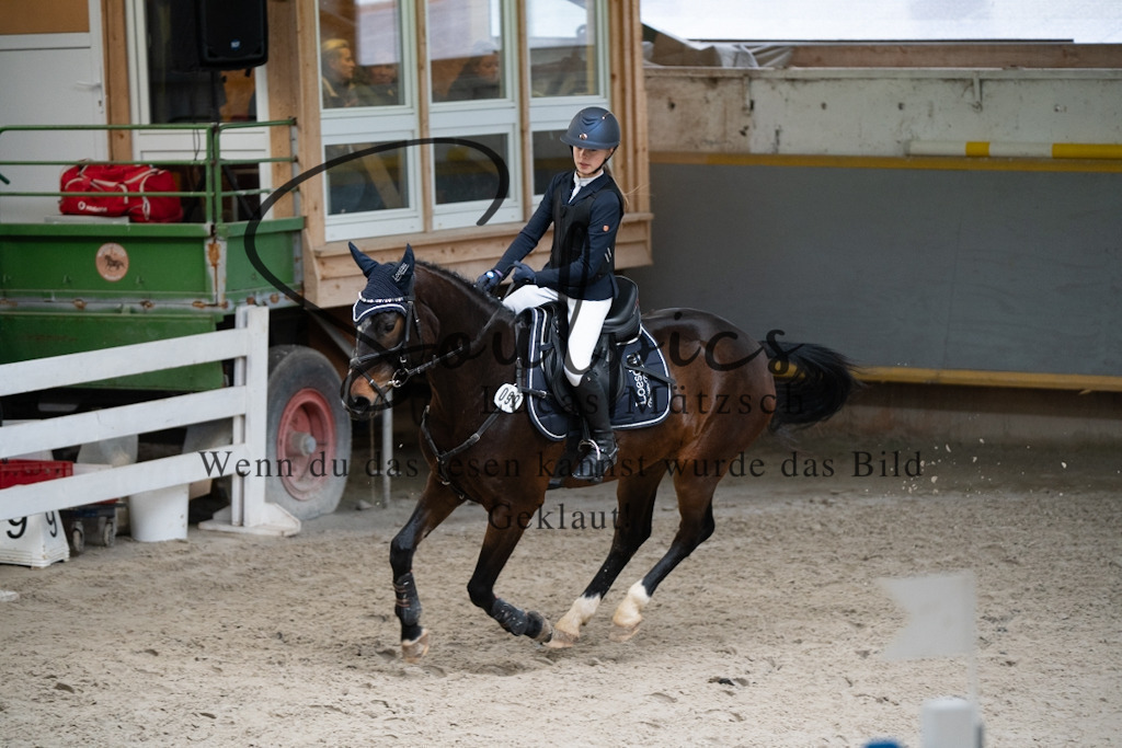 A7V01257 | Pferdefotograf