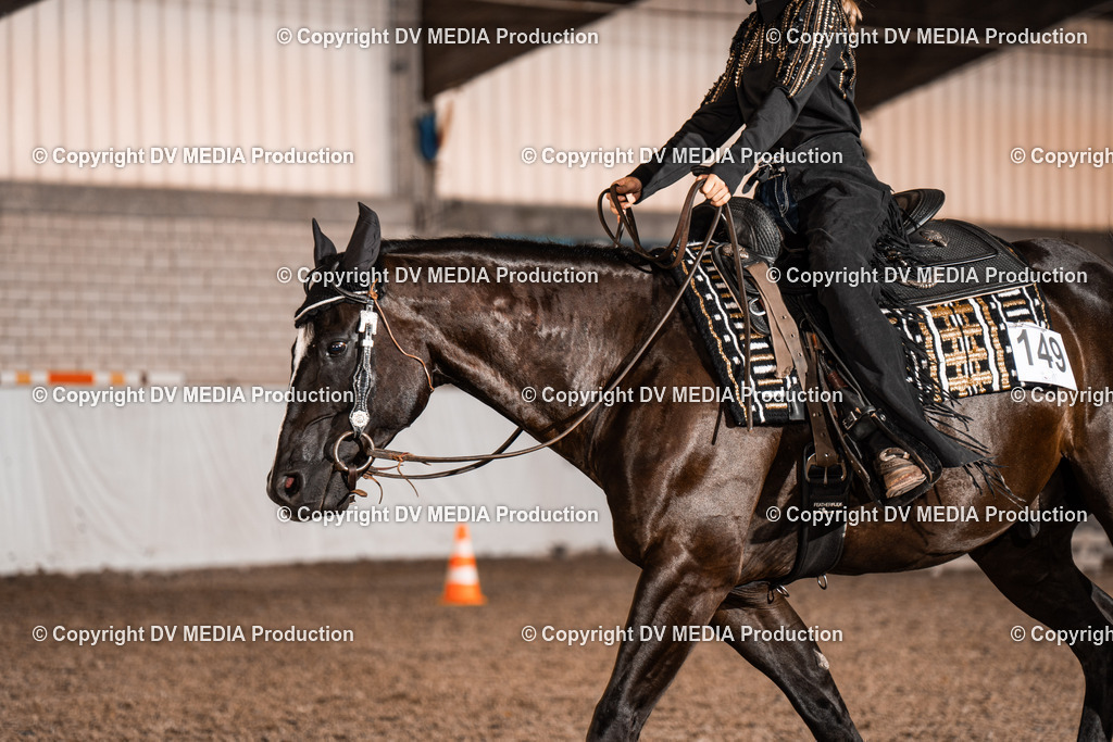 ZH200370 | dv-media-shop - Realisiert mit Pictrs.com