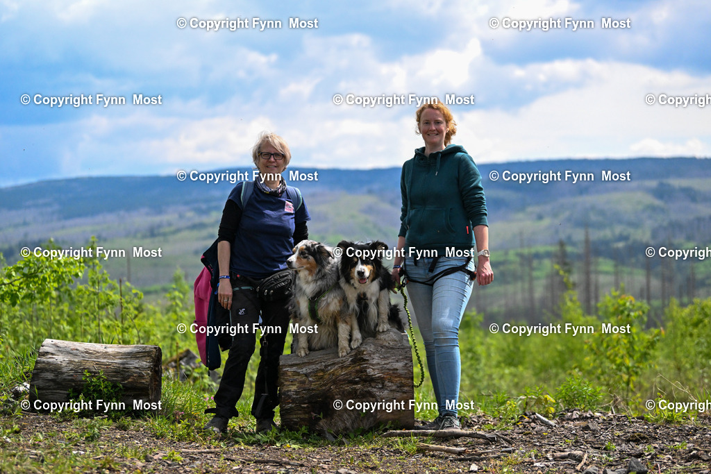DSC_5342 | Hallo und herzlich Willkommen auf meiner Shop-Seite Fynn Most.

Ich wünsche Dir viel Spaß beim stöbern durch die Bilder, wenn Du Fragen hast oder Bilder vermisst, kannst du mir gerne eine Nachricht schreiben. - Realisiert mit Pictrs.com