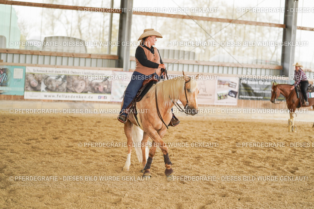 DSC03932 | Pferdegrafie