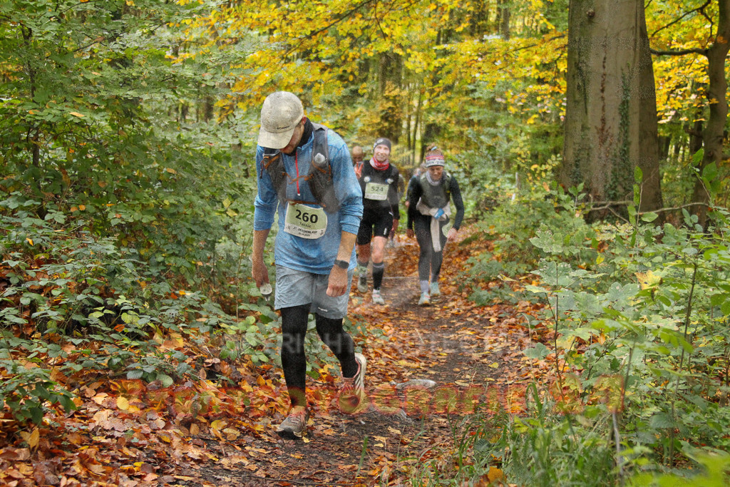 251026_1258_EV4_6223 | Sportfotografie im Rhein-Sieg Kreis, Köln, Bonn, NRW, Rheinland Pfalz, Hessen, etc. Unser Tätigkeitsfeld umfasst den Laufsport vom Volkslauf über den Marathon, Duathlon, Triathon bis zum Ultralauf wie Kölnpfad Ultra oder Schindertrail.