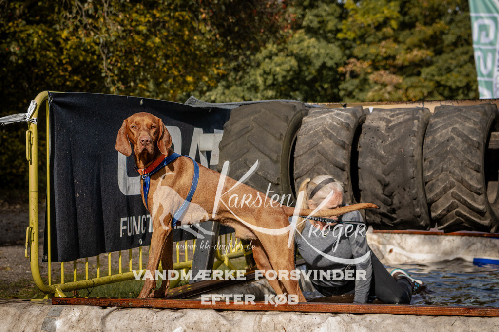 1321_ZZ92483 | kk-dogfotos