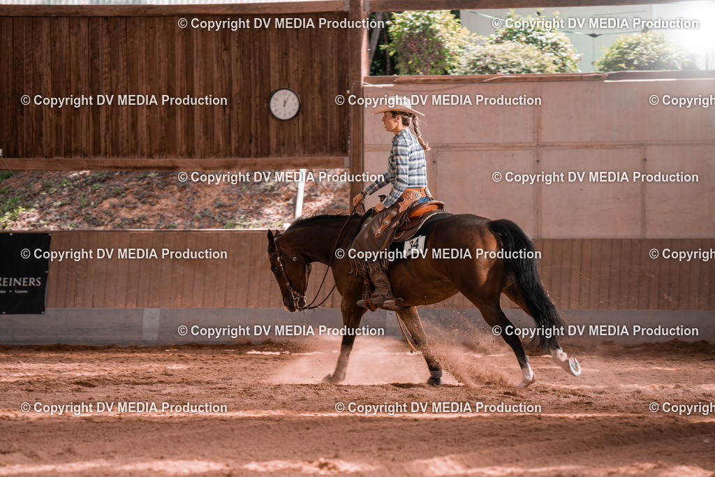 NE100852 | dv-media-shop - Realisiert mit Pictrs.com