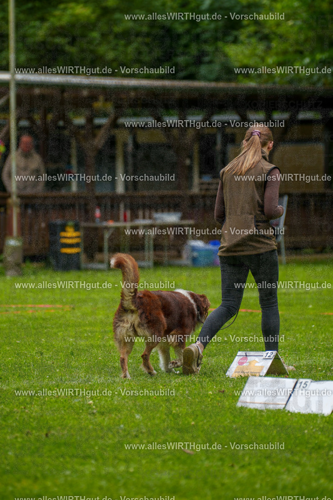 @allesWIRTHgut_Tierfotografie - www.allesWIRTHgut.de - 7R500586 | Professionelle Tierfotografie in Mönchengladbach von Daniel Wirth (allesWIRTHgut). Liebevolle & natürliche Bilder von Hunden & Katzen für unvergessliche Erinnerungen.