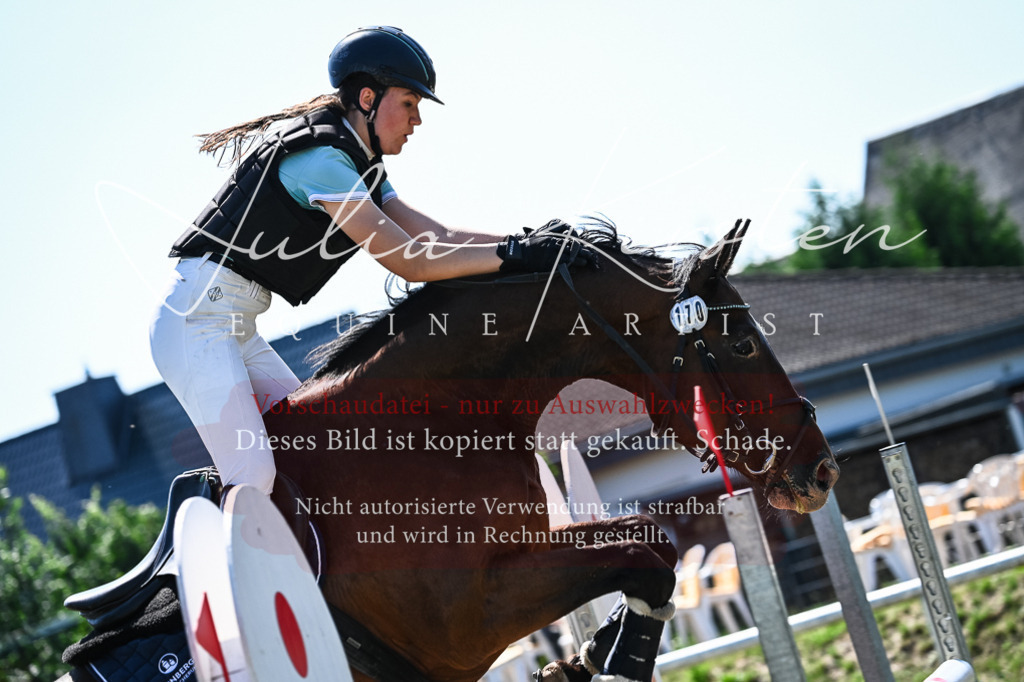 DSC_1497 | Pferde- und Turnierfotografie in Westsachsen. Pferdeportraits, Auftragszeichnungen und intuitive Kunst.