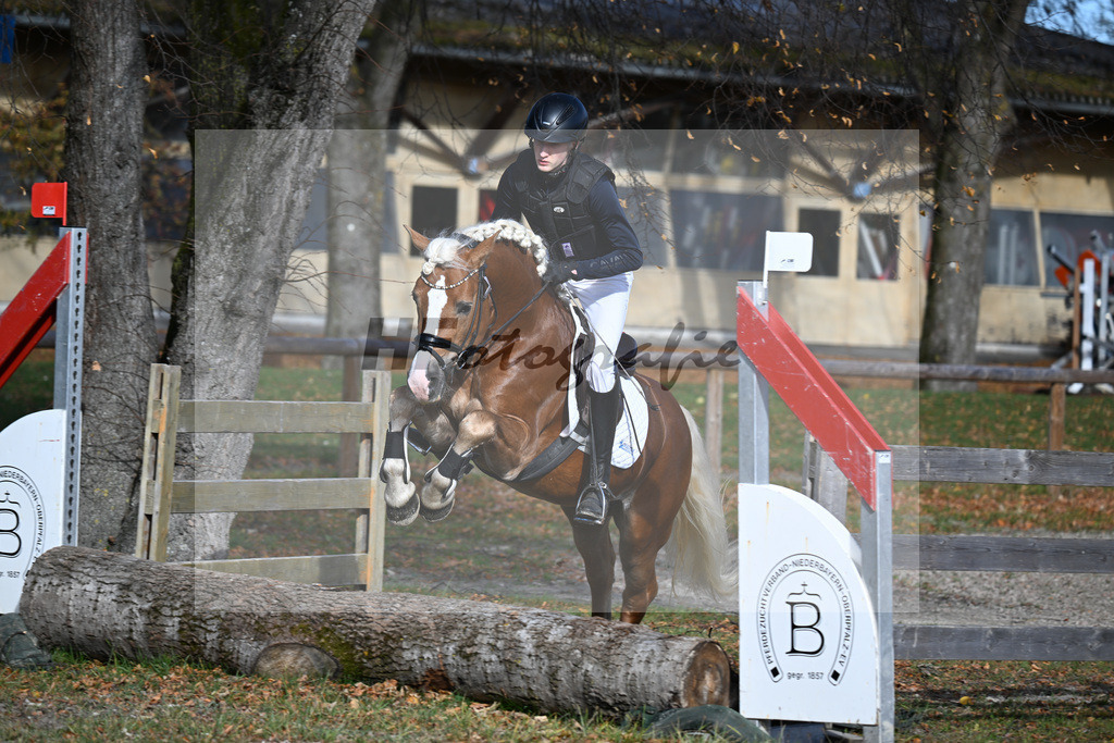 Kat-Nr. 10 Winnetou on fire v. Walzerblick_Keller_43250523 | hf-fotografie - Realisiert mit Pictrs.com