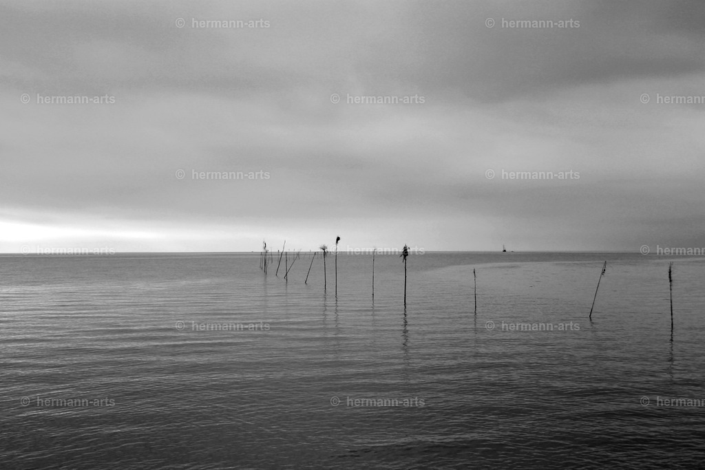 Hermann-Arts_Seaside_037 | Photo Foto Kunst Art schwarzweiss Bilder Rheine Münster Berlin Blumen 