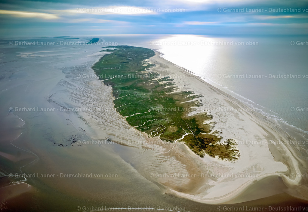 3091129 | Norderney, Nationalpark Niedersächsisches Wattenmeer