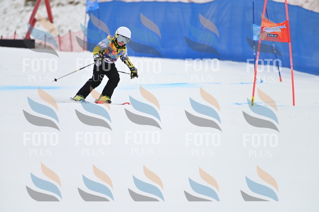 BGV_3008 | holidayphoto