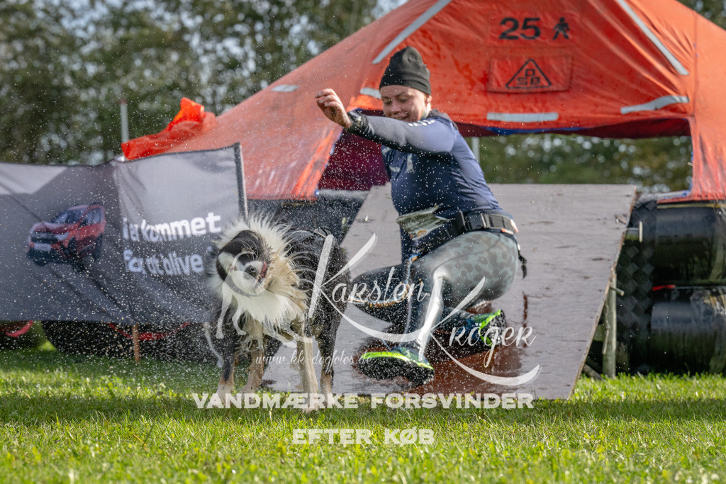 1212-92833 | kk-dogfotos