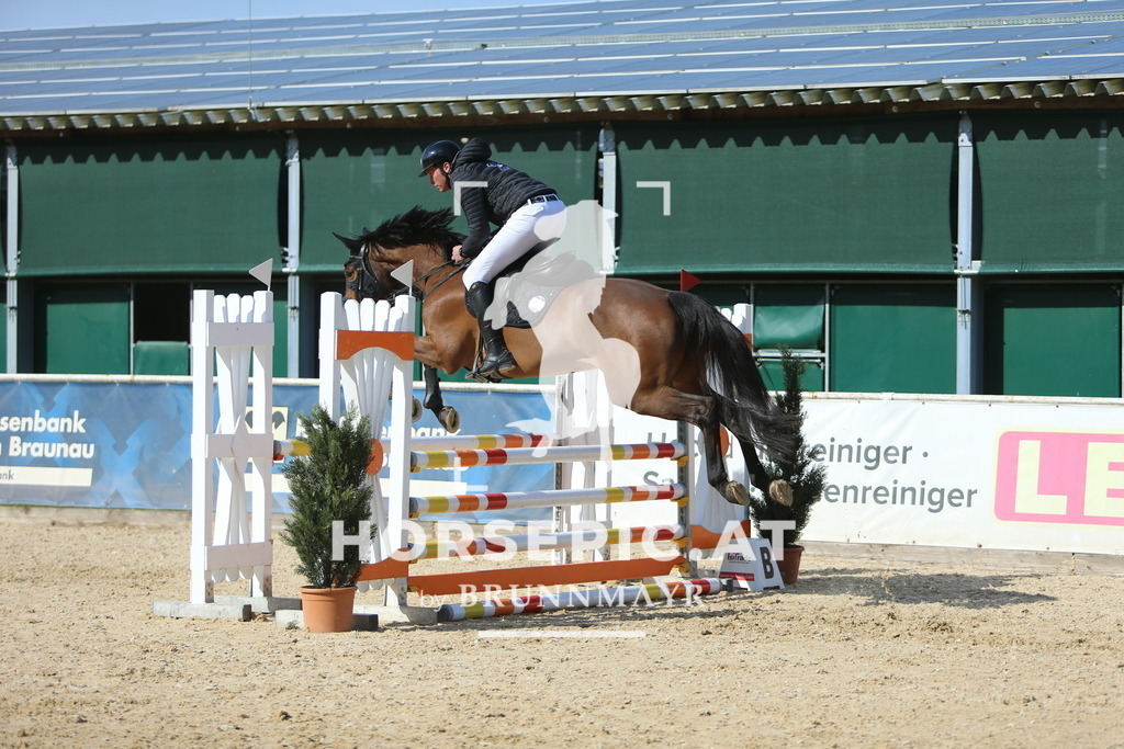 DL2Q3696 | Willkommen bei Brunnmayr - Design & Fotografie – Ihrem Spezialisten für Reitturniere und Pferdeveranstaltungen in Oberösterreich, Salzburg und Bayern! Seit über 17 Jahren sind wir leidenschaftlich dabei.
