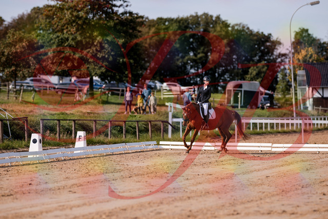 2026_10_03_Siefer-Hof_114038_Z81_83100452 | Professionelle Reitsport-, Turnier- und Eventfotografie von Robert Broda. Galerien mit ausgewählten und bearbeiteten Bildern direkt online ansehen und bestellen.